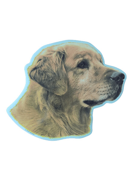 Golden Retriever Pegatina