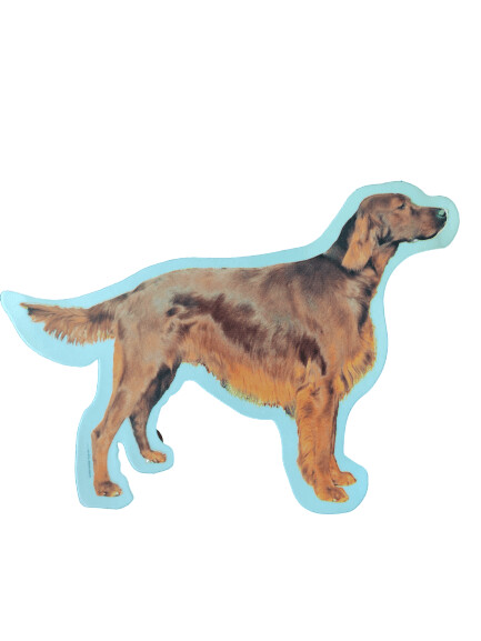 Setter Irlandes Pegatina