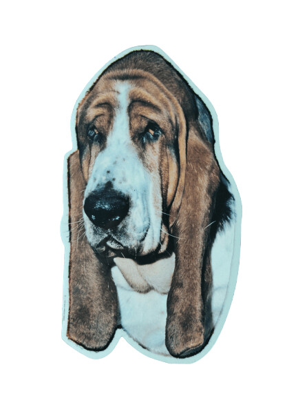 Basset Hound Pegatina