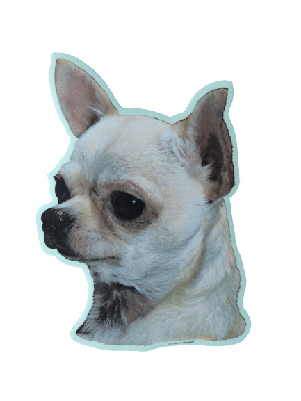 Chihuahua Pegatina