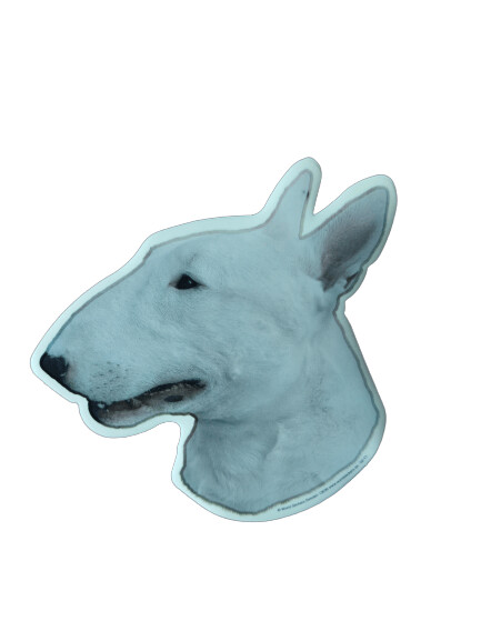 Bull terrier Pegatina