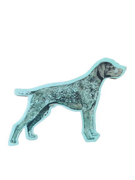 Pointer Pegatina