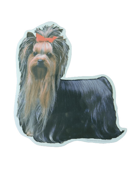 Yorkshire Terrier Pegatina