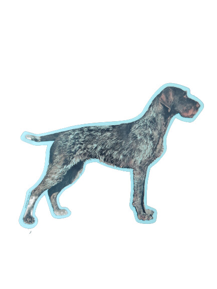 Pointer pelo duro Pegatina