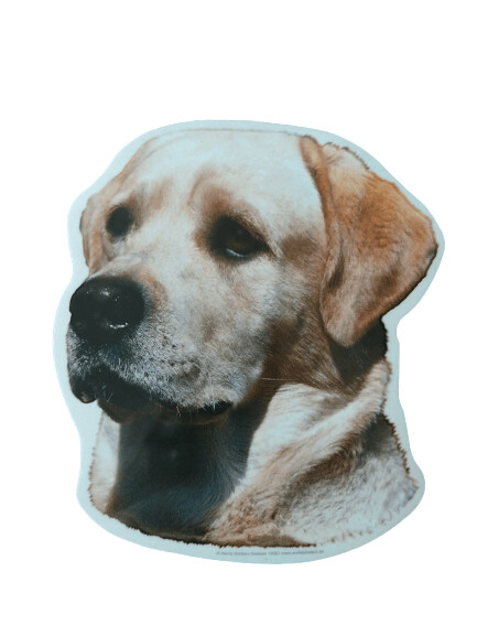 Labrador Pegatina