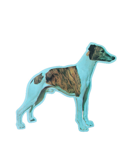 Whippet Pegatina