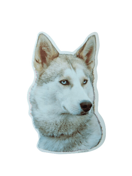 Husky siberiano Pegatina