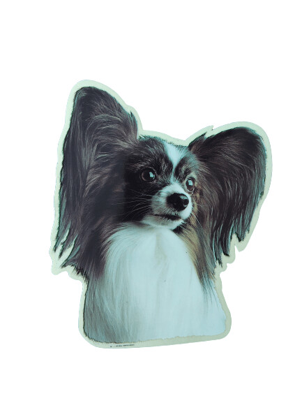 Papillon Pegatina