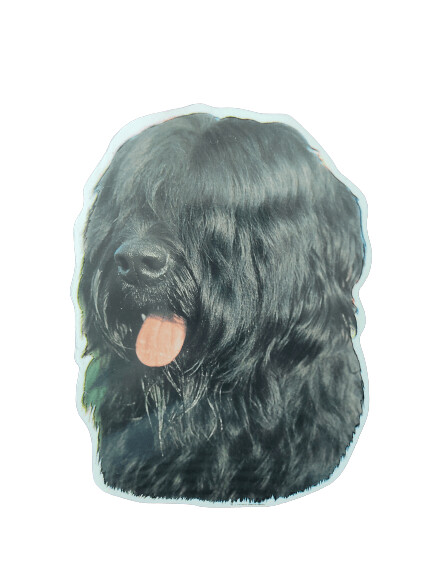 Briard negro Pegatina