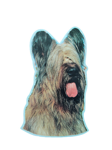 Briard Pegatina