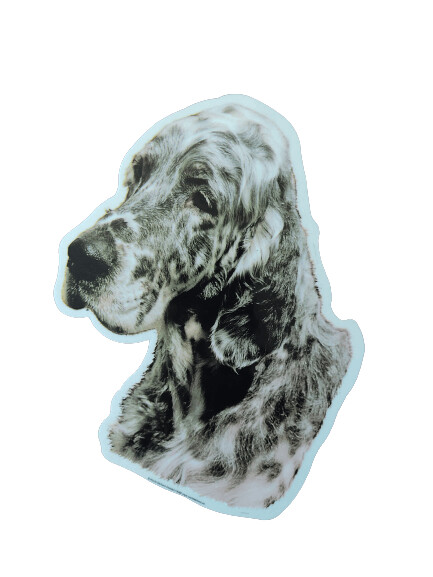 Setter Ingles Pegatina