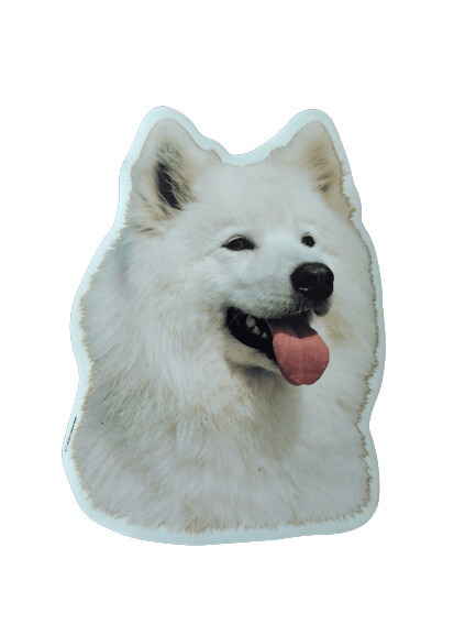 Samoyedo Pegatina