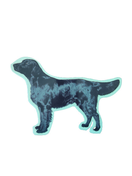 Flat coated Retriever Pegatina