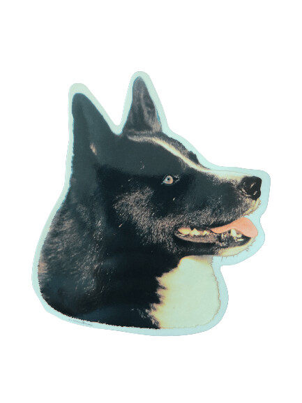 Karelian Bear Pegatina
