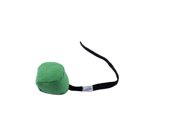 Motivador para perro pelota con cuerda verde