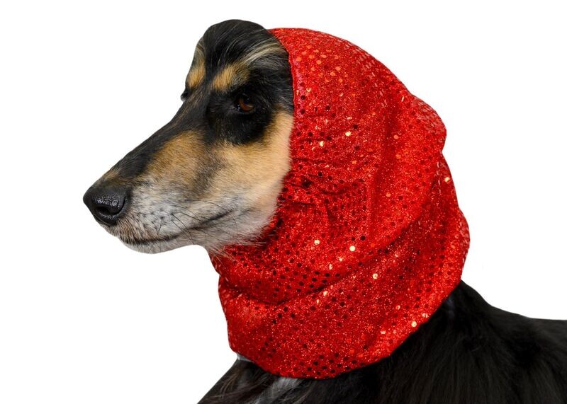 Redecilla roja talla L