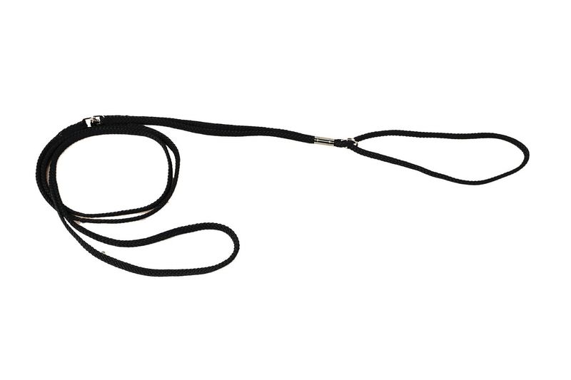 Correa de nylon plana exposición negra
