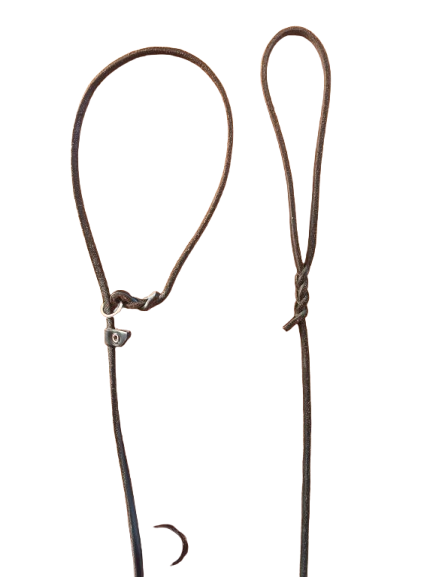 Correa y collar  piel fina negro