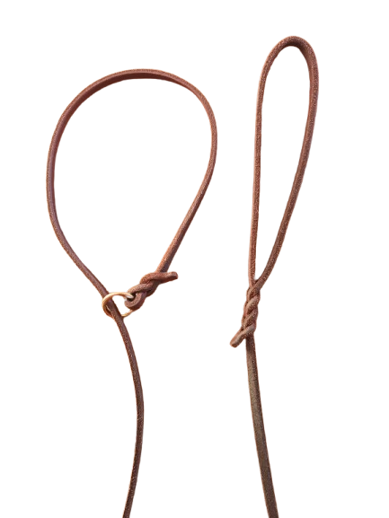 Correa y collar de piel plana marrón