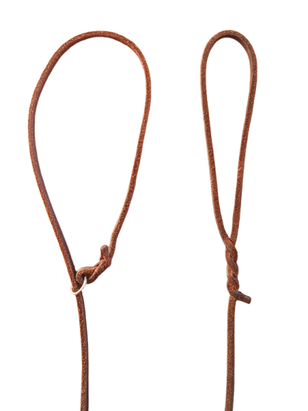 Correa y collar  piel fina marrón