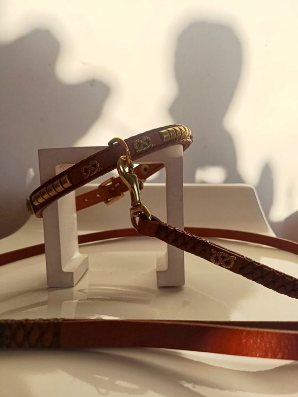 Staffordshire collar y correa piel marrón