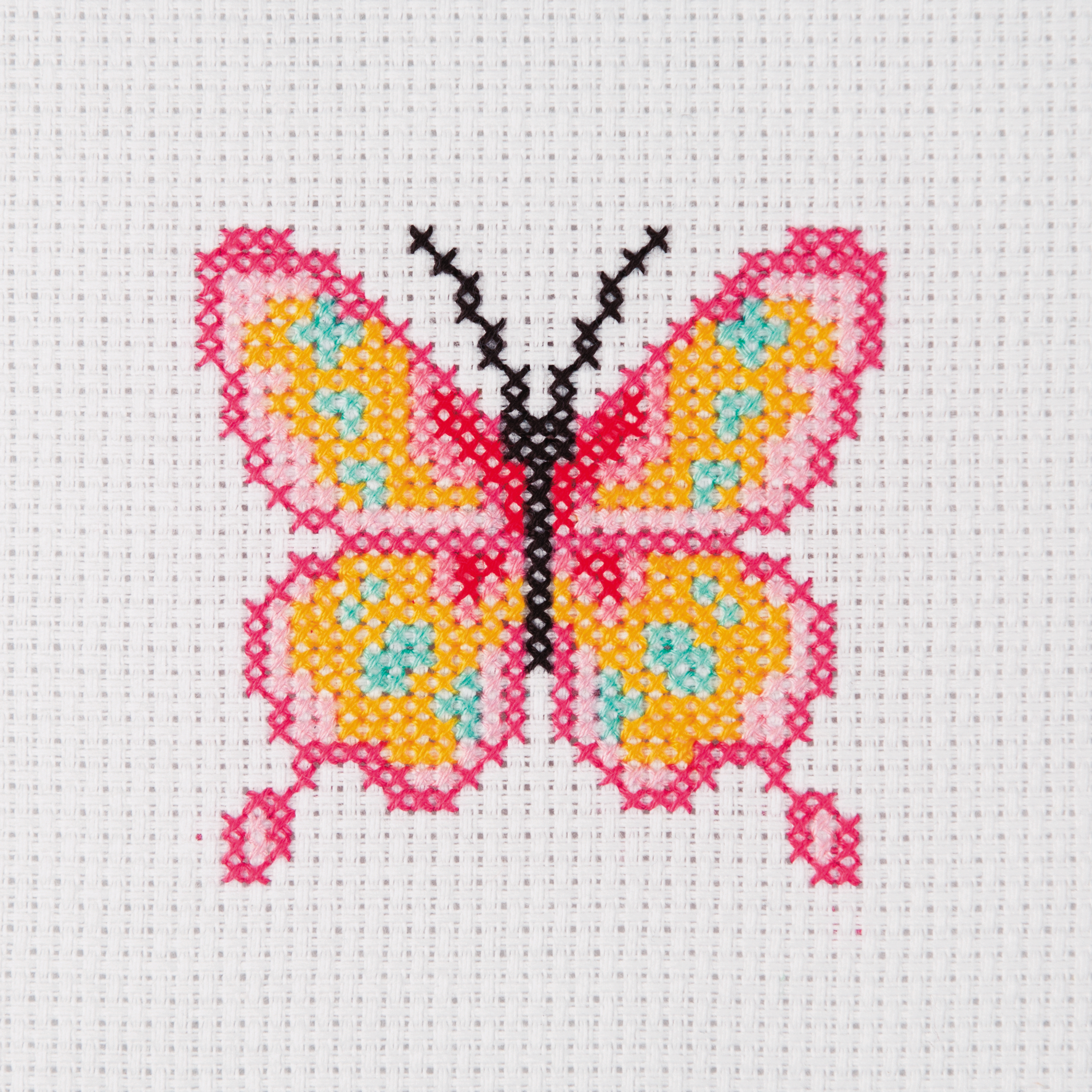 Cross Stitch Kit for Beginners ~ Butterfly – The World in Stitches