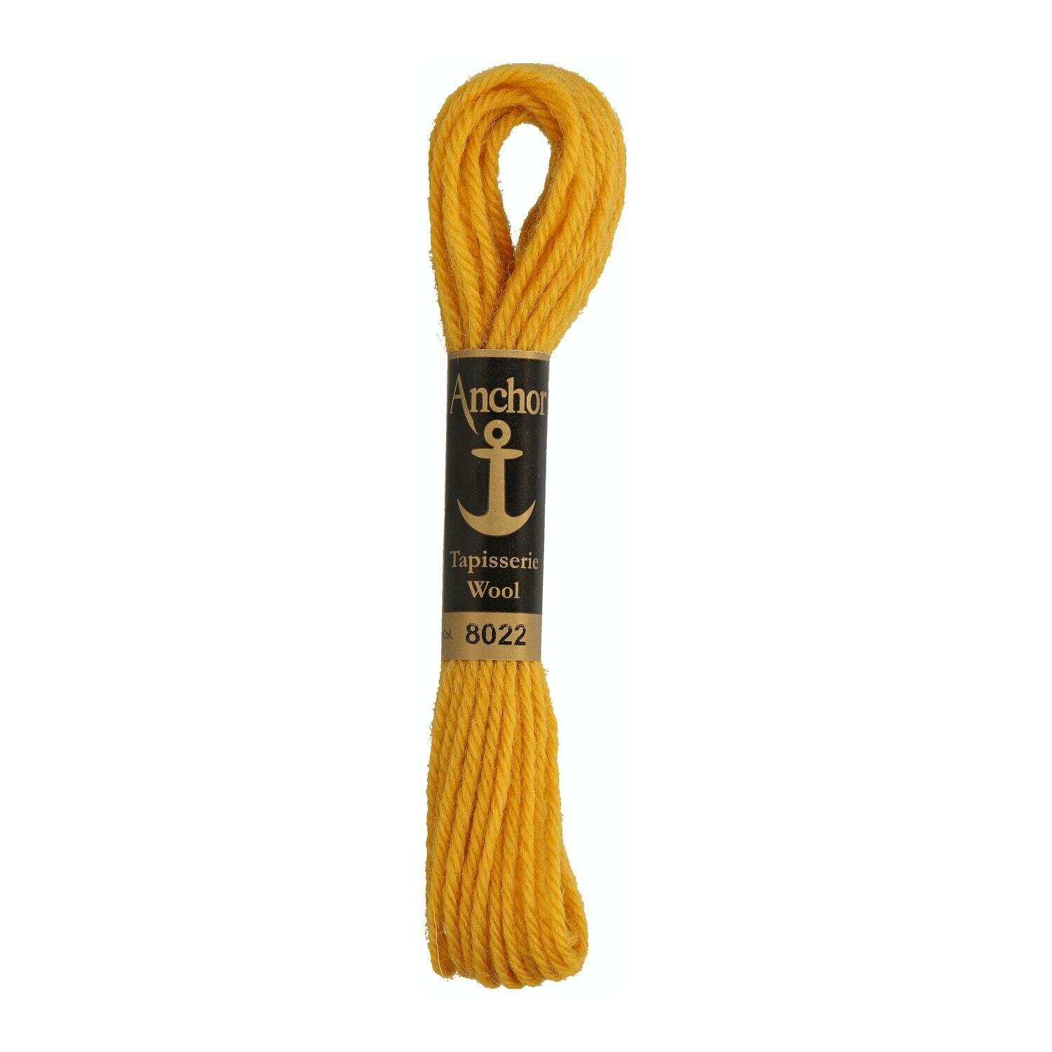 Anchor Tapisserie Wool #  08022