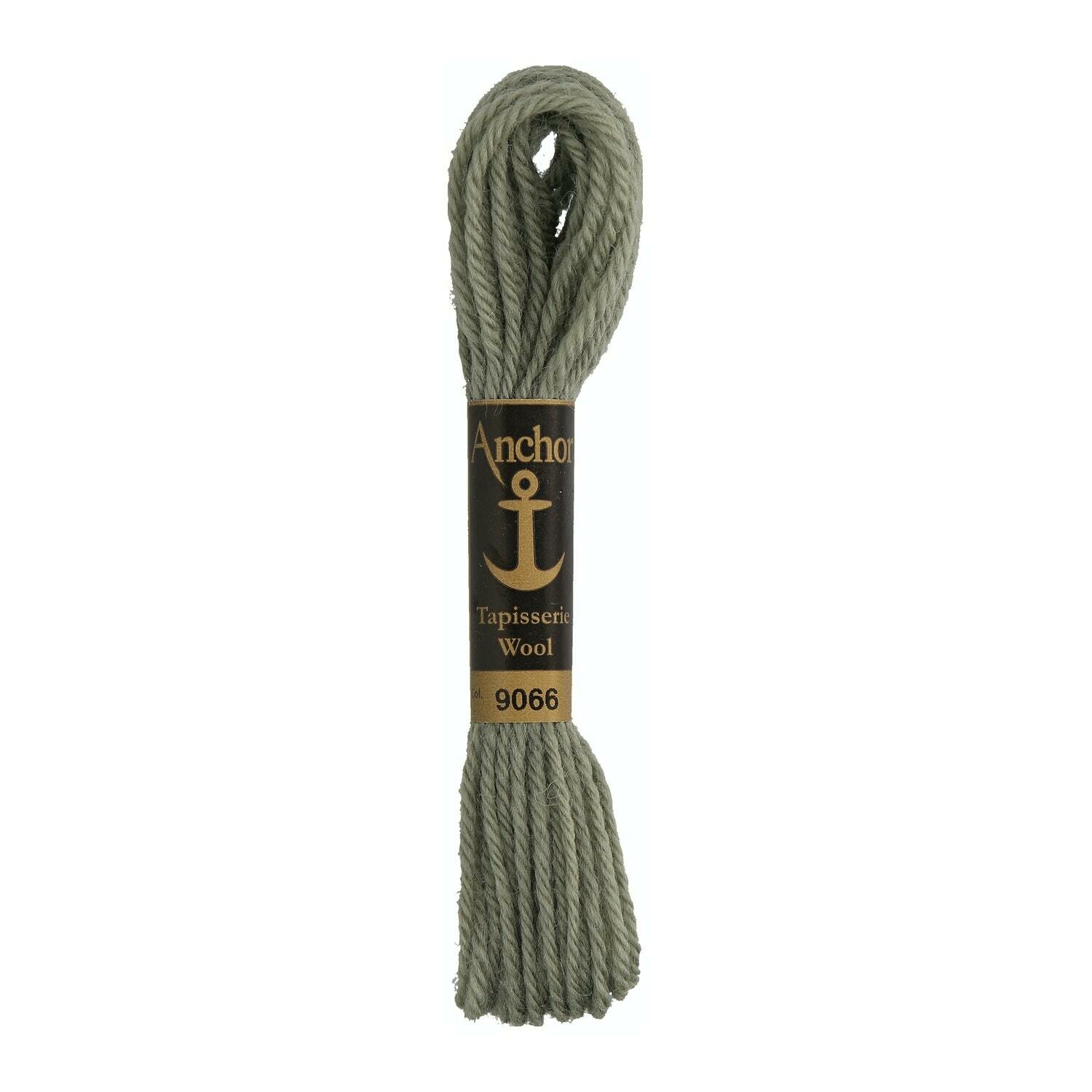 Anchor Tapisserie Wool #  09066