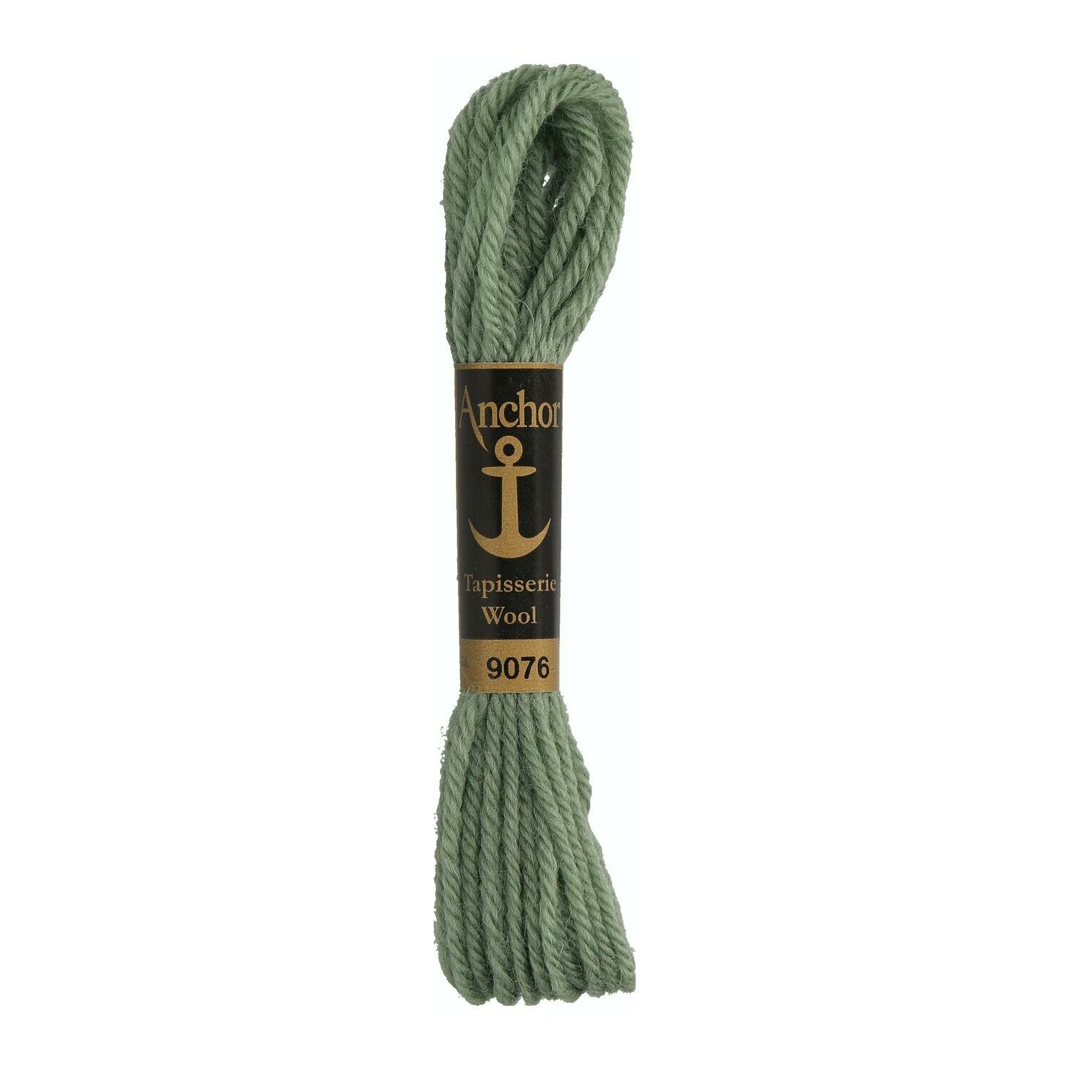 Anchor Tapisserie Wool #  09076