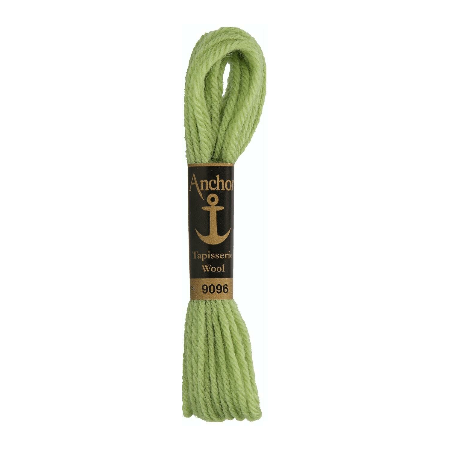 Anchor Tapisserie Wool #  09096
