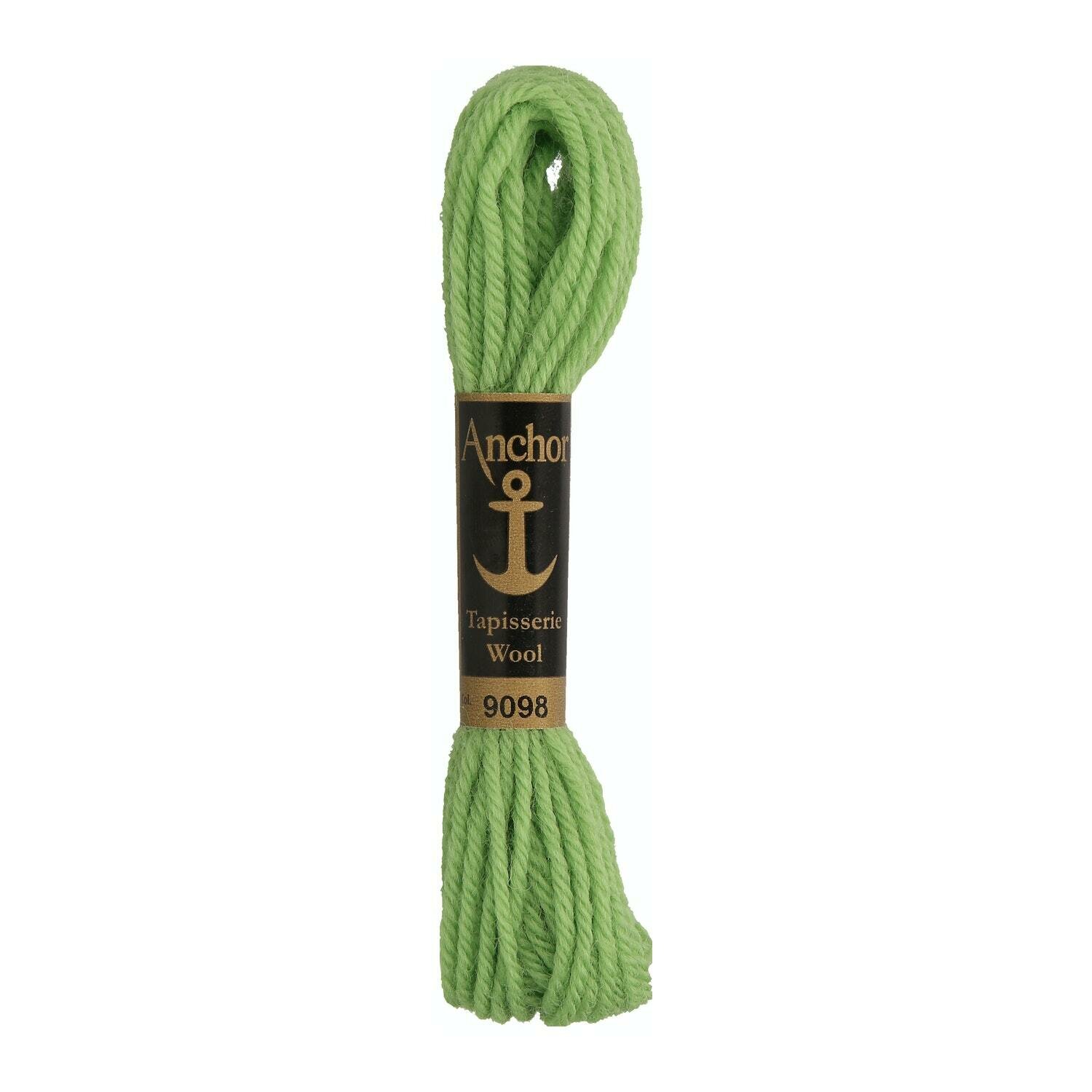 Anchor Tapisserie Wool #  09098