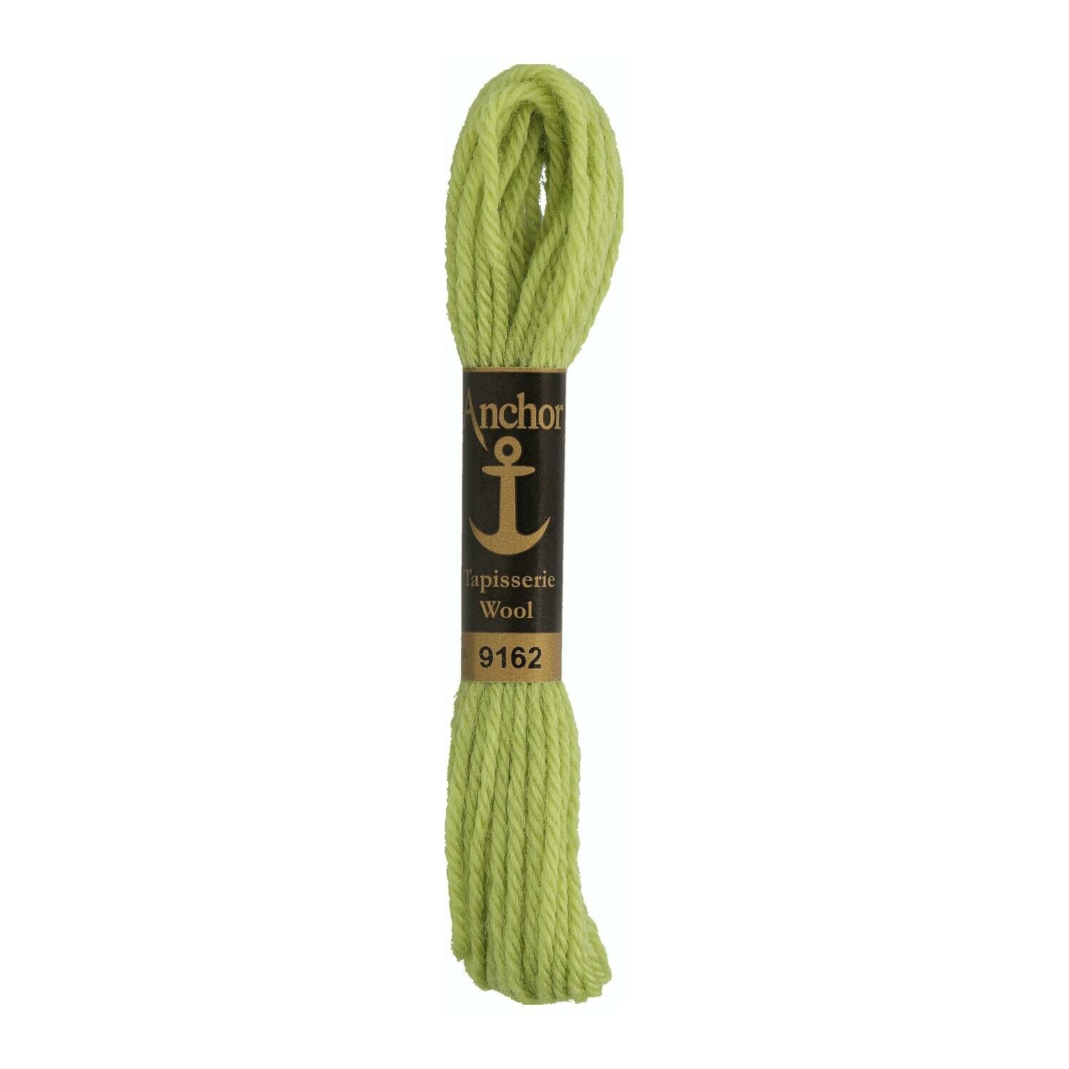 Anchor Tapisserie Wool #  09162