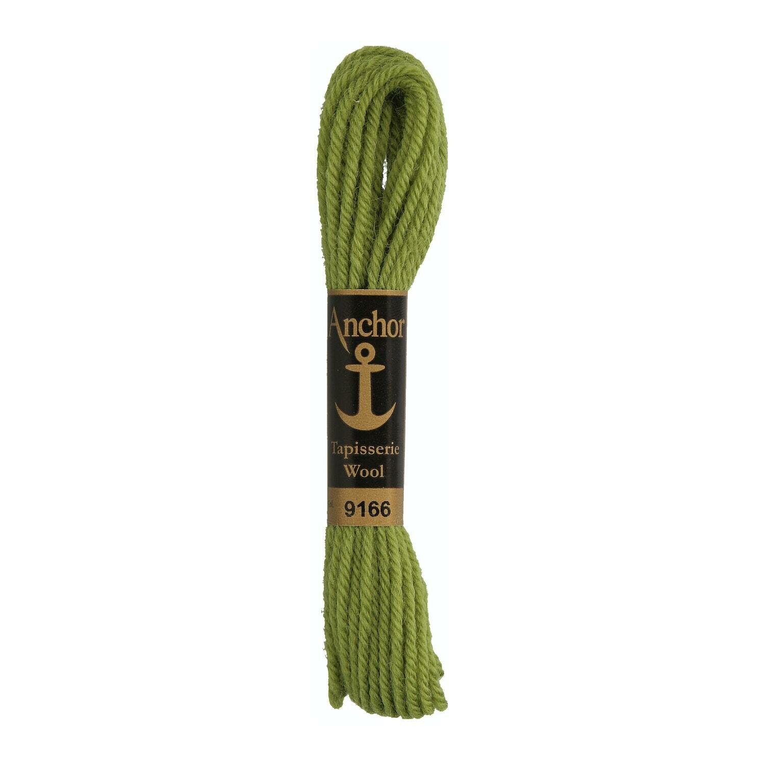 Anchor Tapisserie Wool # 09166
