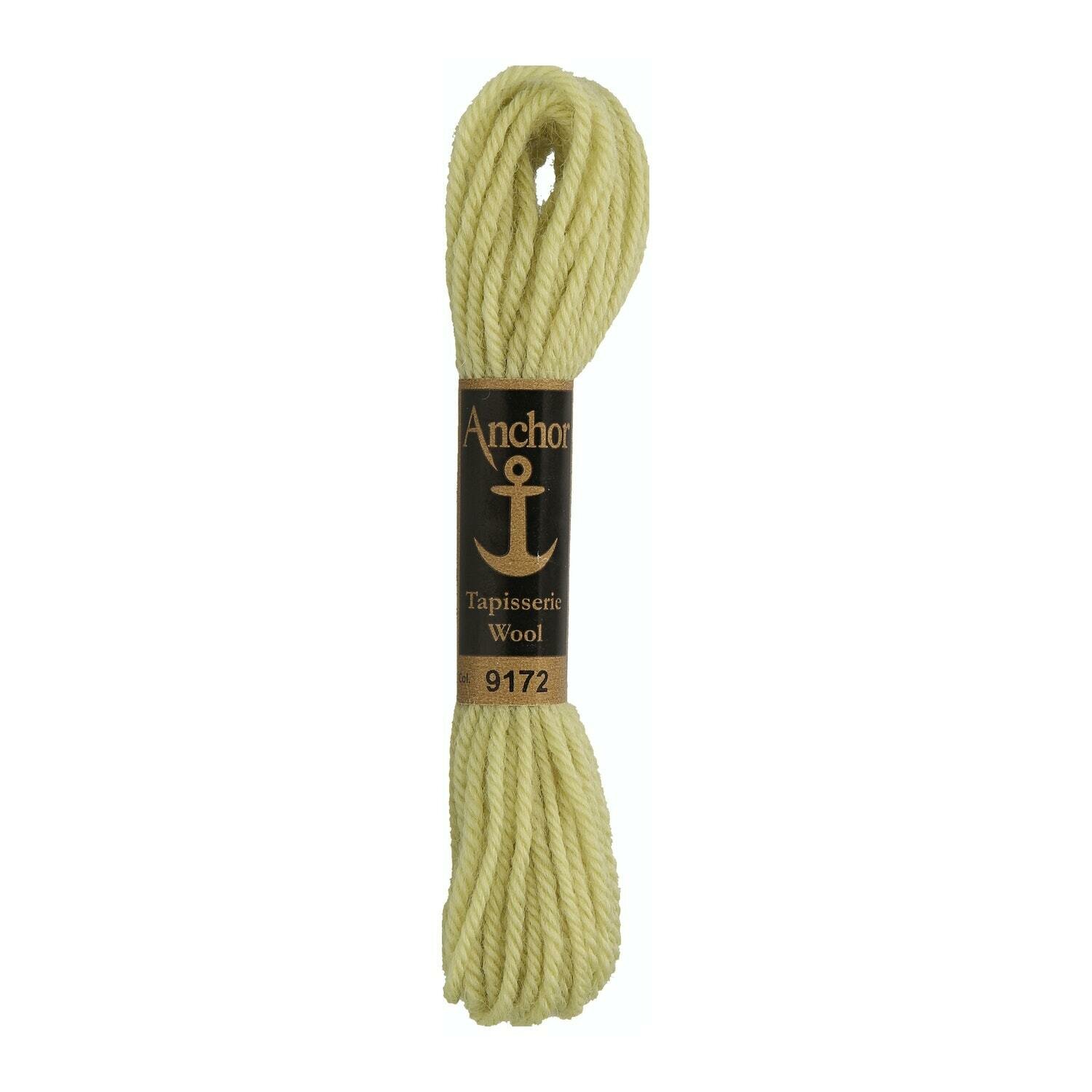 Anchor Tapisserie Wool #  09172