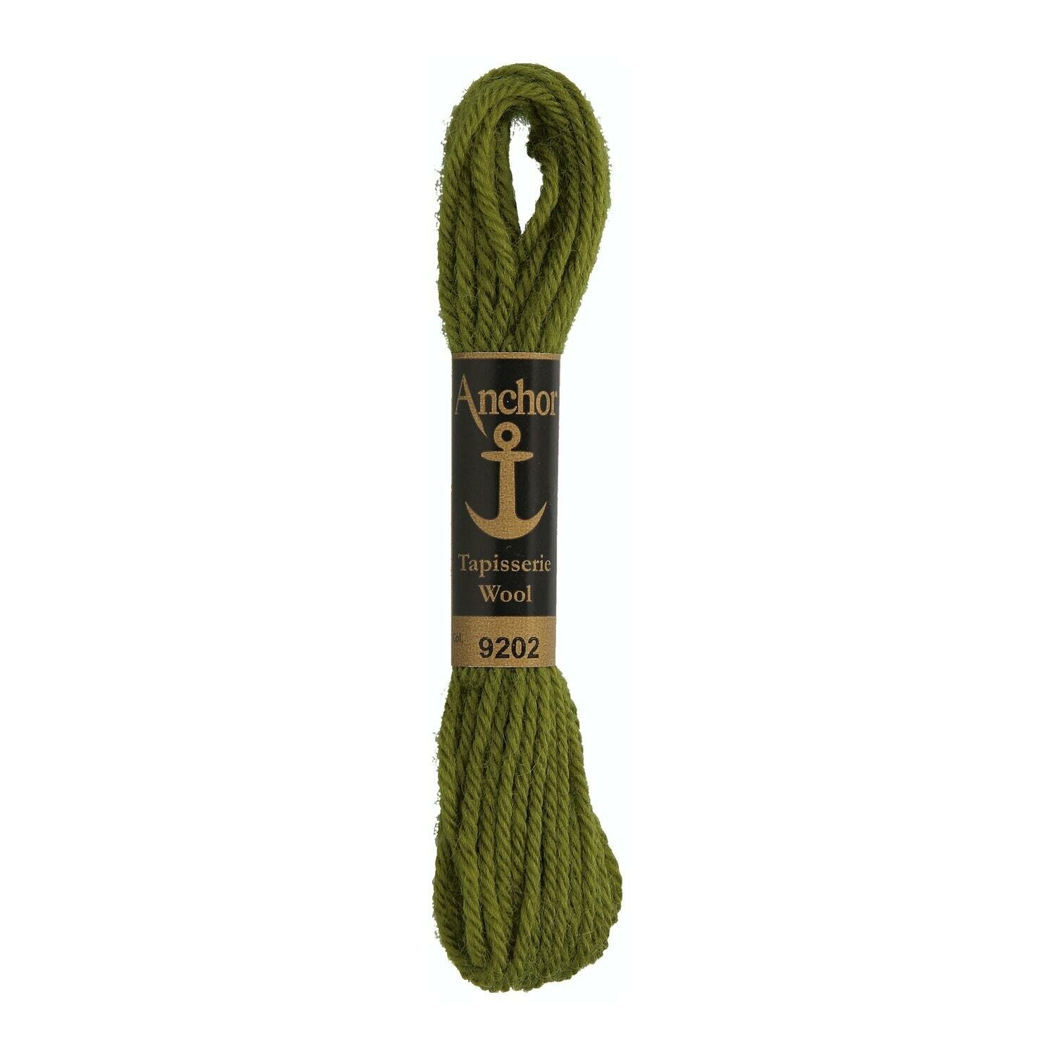 Anchor Tapisserie Wool #  09202