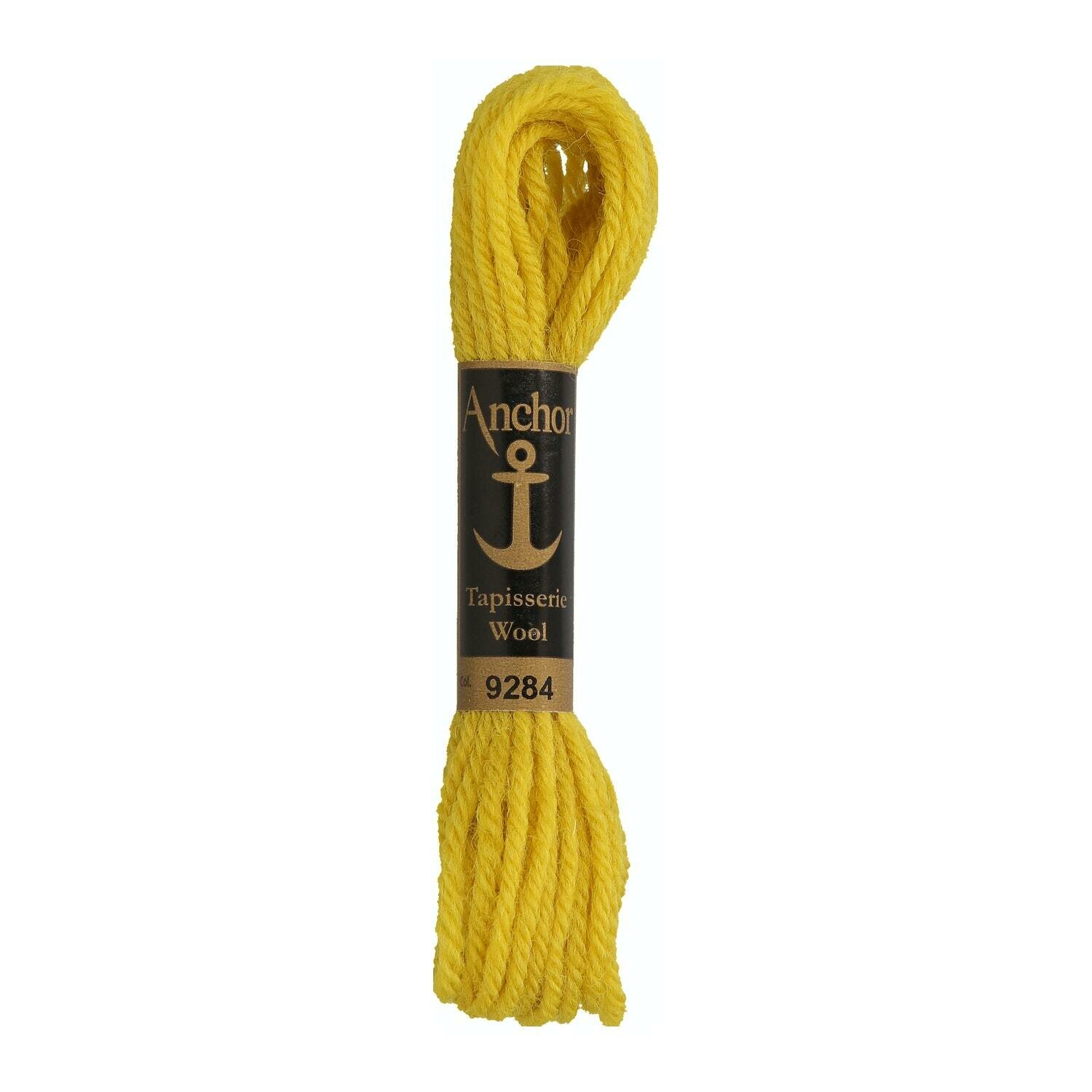 Anchor Tapisserie Wool #  09284