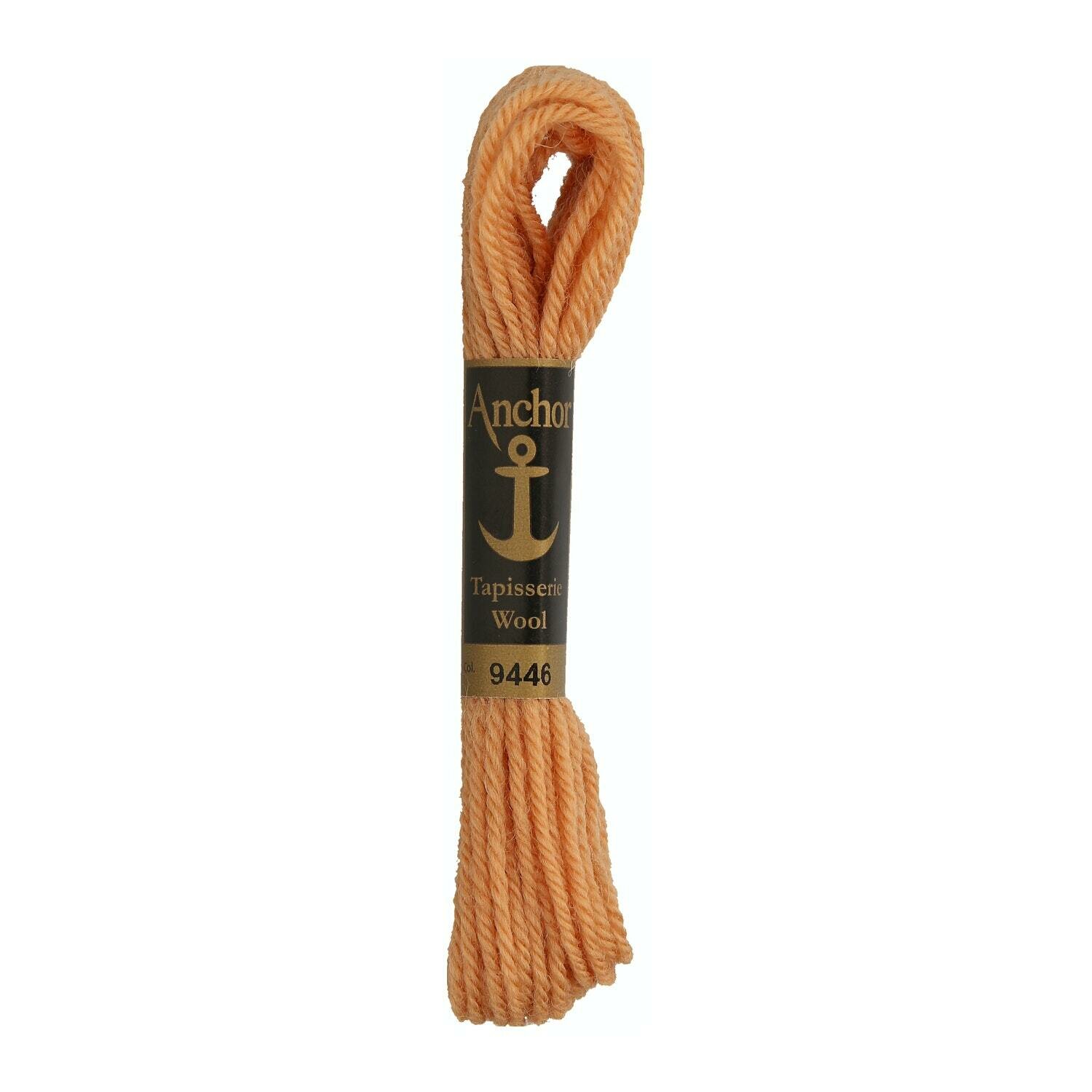 Anchor Tapisserie Wool # 09446