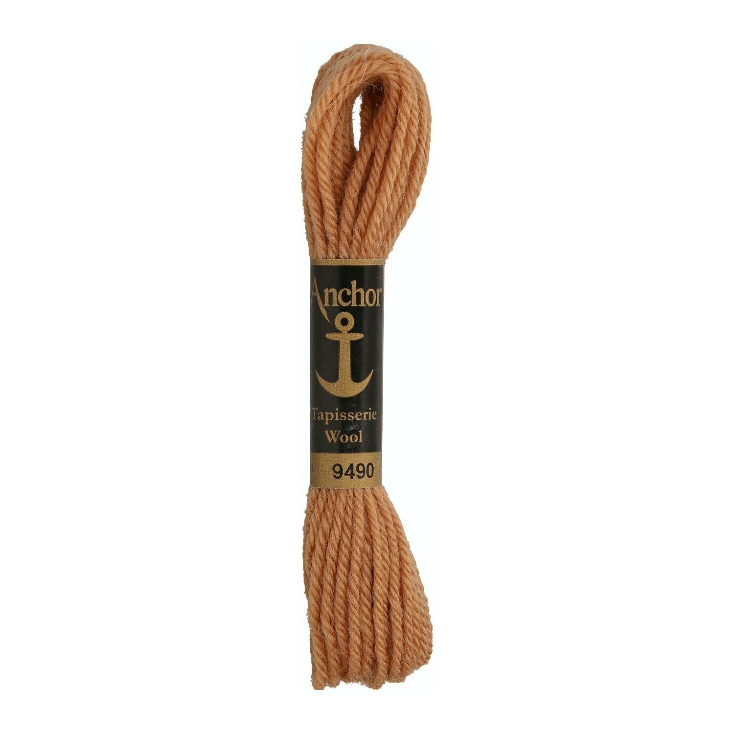 Anchor Tapisserie Wool #  09490