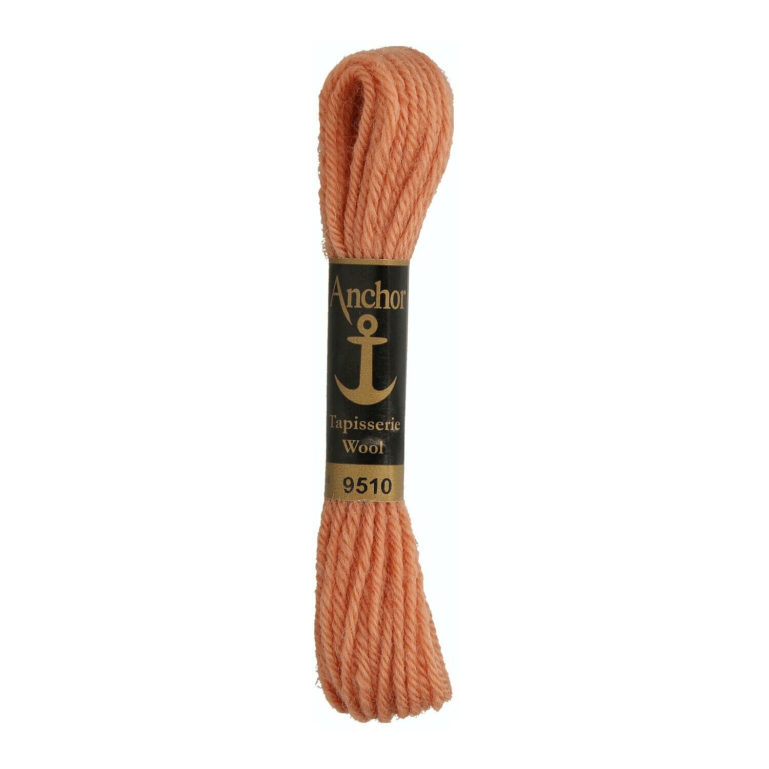 Anchor Tapisserie Wool #  09510