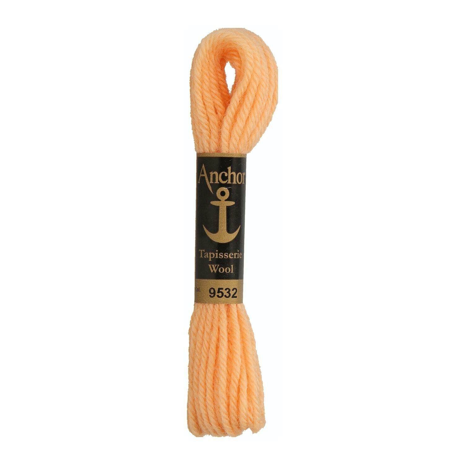 Anchor Tapisserie Wool # 09532