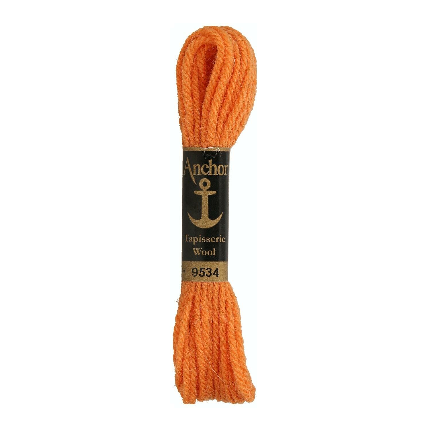 Anchor Tapisserie Wool # 09534