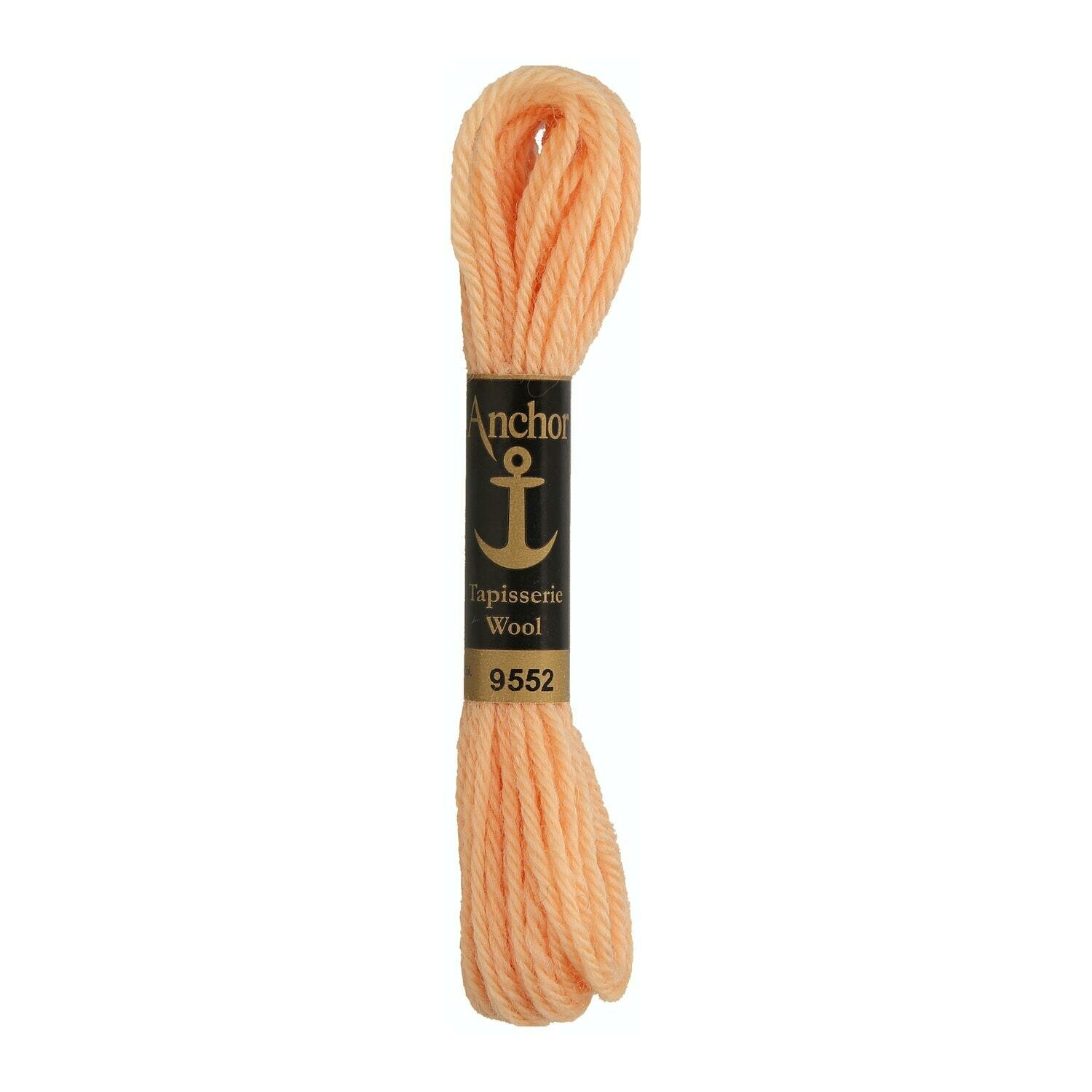 Anchor Tapisserie Wool # 09552