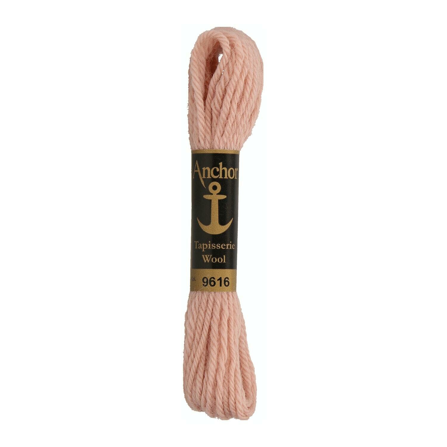 Anchor Tapisserie Wool #  09616