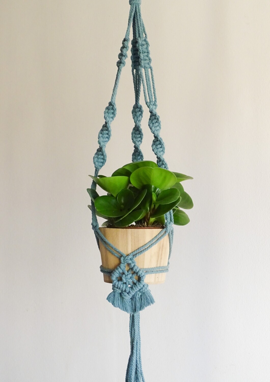 Digital Pattern Plant Hanger Boho Style