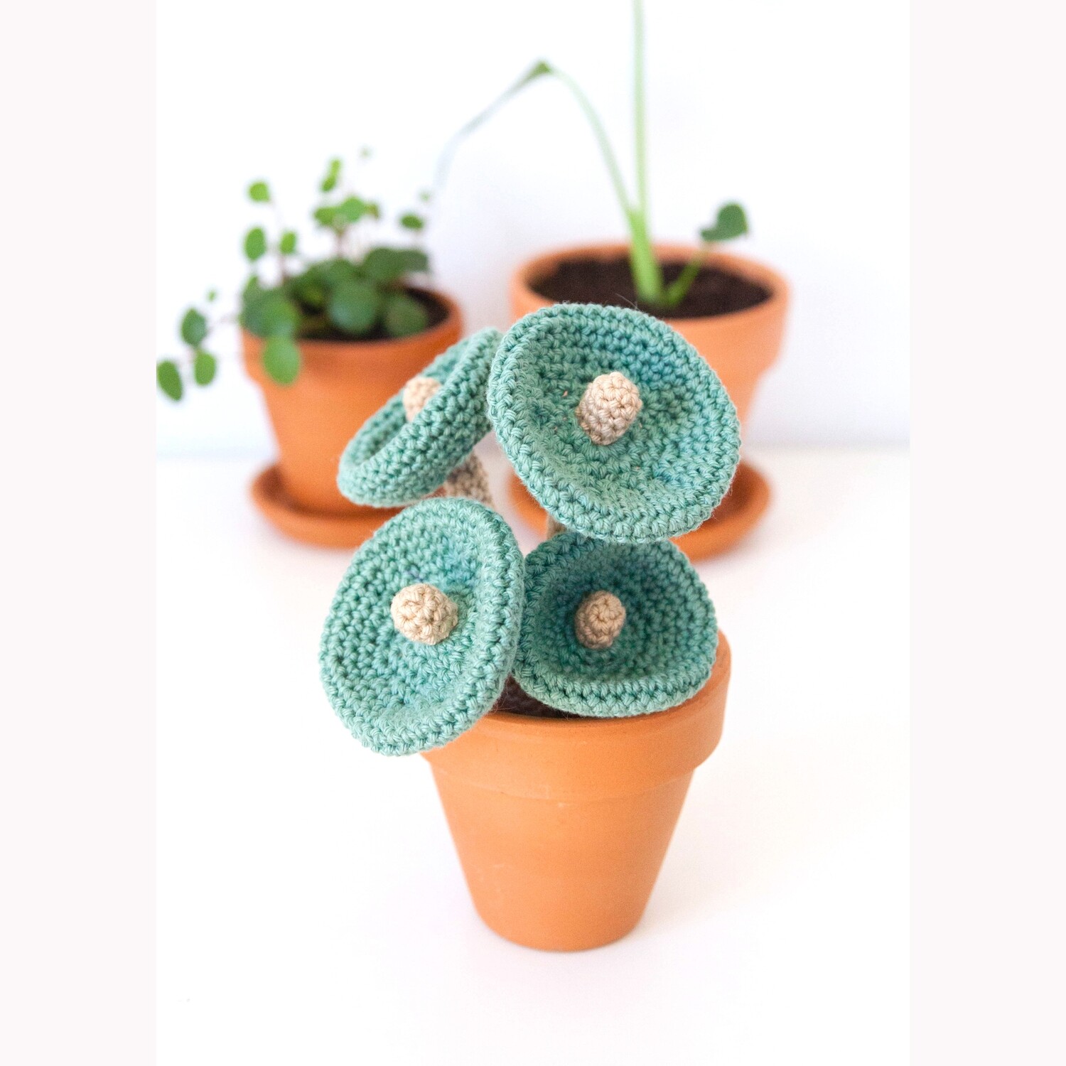 Digital Pattern Crochet Plant