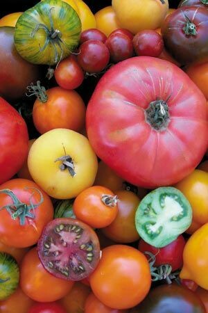 Heritage Mix Tomatoes 500g