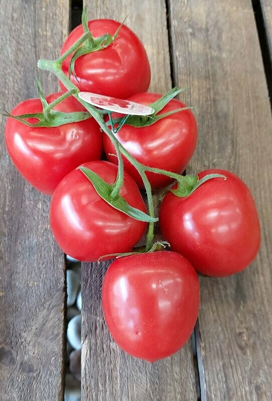 Plum Vine Tomatoes 500 g