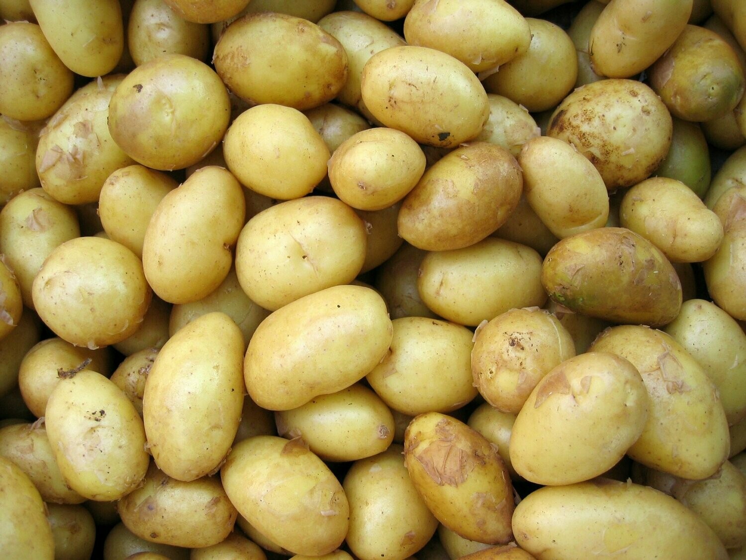 Baby Washed Potatoes per kg