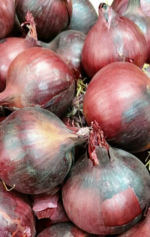 Red Onions 500 g