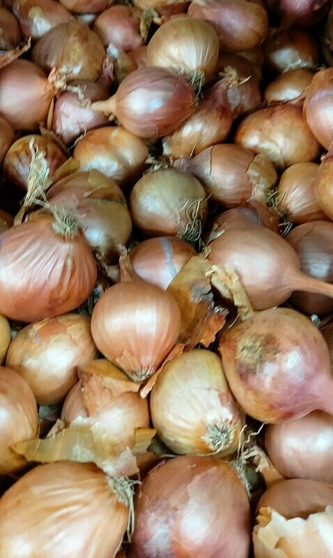 Round Shallots 250g